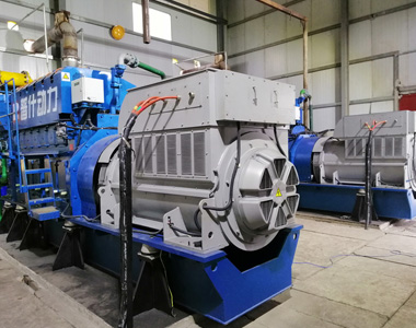 Fengdu Gantai Biogas Stromerzeugungsprojekt ausgestattet mit 2 Einheiten EvoTec 850kw/10.5kv/6-polige Hochspannungsgeneratoren