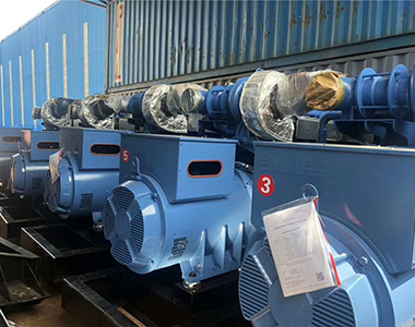 EvoTec 500kw/400v Landnutzungsgenerator für Zuchtprojekt