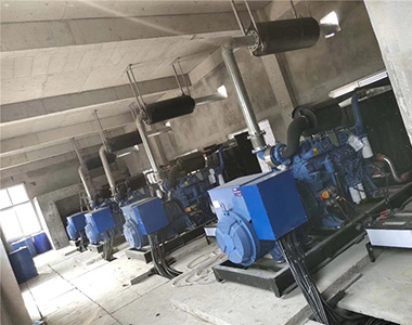 EvoTec 500kw/400v Landnutzungsgenerator für Zuchtprojekt