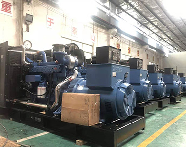 EvoTec 500kw/400v Landnutzungsgenerator für Zuchtprojekt