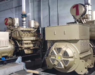 3 x 900KW / 10.5KV / 1000RPM 6-polige HV-Alternatoren - Nordwestliches Gaskrafterzeugungsprojekt