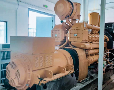 600KW / 1000RPM 6-poliger Alternator - Guangdong Petrochemisches Projekt