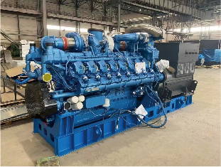 Gaskrafterzeugungsprojekt des russischen Öl- und Gasfeldes in Mengen -1000KW/6.3KV 6-polige HV-Alternatoren