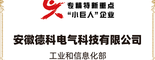„Kleines Riese, große Bedeutung“ | Evotec Power erhält den Titel eines nationalen „Schwerpunkt-Kleines Riese“-Unternehmens für Spezialisierung, Verfeinerung, Besonderheit und Innovation